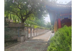 重庆殡葬服务定制，传统与现代的完美融合